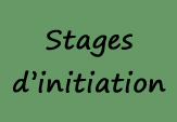 Stages d'initiation Massage, Shiatsu, Stretching, Do in